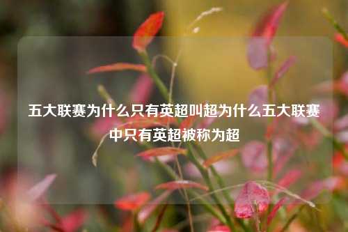 五大联赛为什么只有英超叫超为什么五大联赛中只有英超被称为超