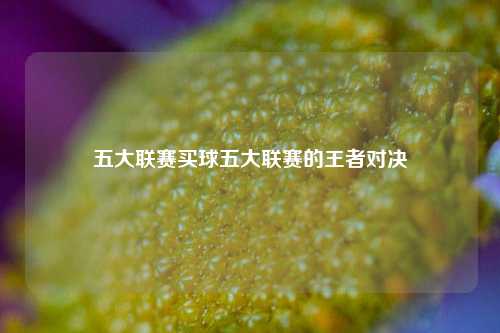 五大联赛买球五大联赛的王者对决