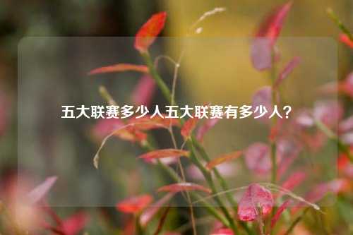 五大联赛多少人五大联赛有多少人？