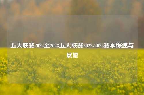 五大联赛2022至2023五大联赛2022-2023赛季综述与展望