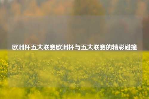 欧洲杯五大联赛欧洲杯与五大联赛的精彩碰撞
