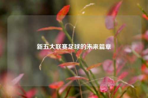 新五大联赛足球的未来篇章