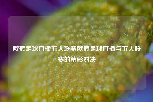 欧冠足球直播五大联赛欧冠足球直播与五大联赛的精彩对决