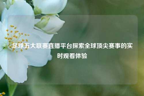 足球五大联赛直播平台探索全球顶尖赛事的实时观看体验