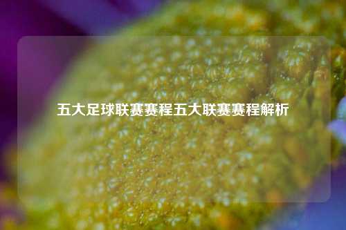 五大足球联赛赛程五大联赛赛程解析