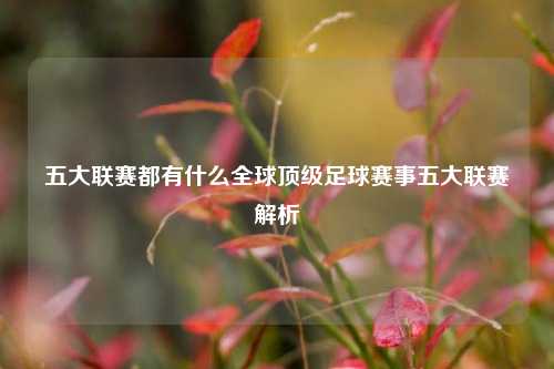 五大联赛都有什么全球顶级足球赛事五大联赛解析