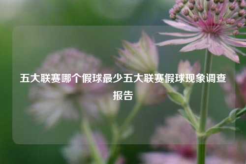 五大联赛哪个假球最少五大联赛假球现象调查报告