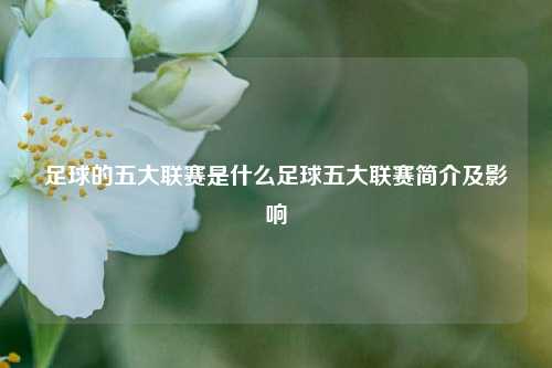 足球的五大联赛是什么足球五大联赛简介及影响