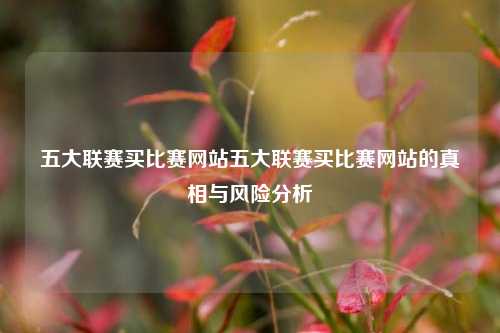 五大联赛买比赛网站五大联赛买比赛网站的真相与风险分析