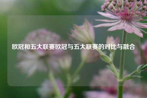 欧冠和五大联赛欧冠与五大联赛的对比与融合