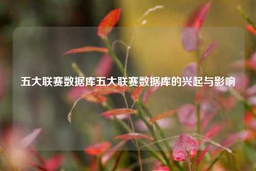 五大联赛数据库五大联赛数据库的兴起与影响