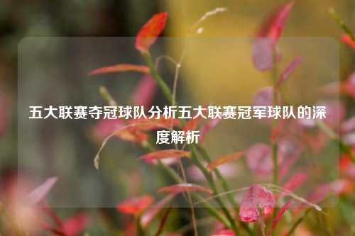 五大联赛夺冠球队分析五大联赛冠军球队的深度解析