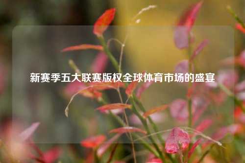 新赛季五大联赛版权全球体育市场的盛宴