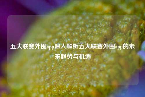 五大联赛外围app深入解析五大联赛外围app的未来趋势与机遇