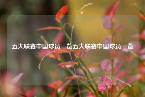 五大联赛中国球员一览五大联赛中国球员一览