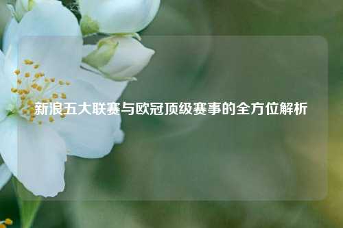 新浪五大联赛与欧冠顶级赛事的全方位解析