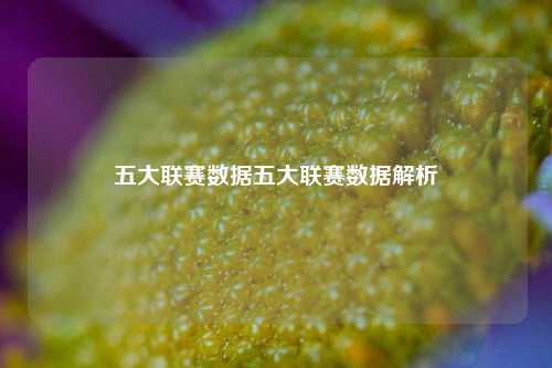 五大联赛数据五大联赛数据解析