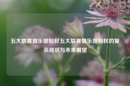 五大联赛俱乐部股权五大联赛俱乐部股权的复杂现状与未来展望