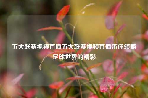 五大联赛视频直播五大联赛视频直播带你领略足球世界的精彩