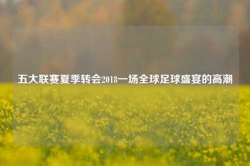 五大联赛夏季转会2018一场全球足球盛宴的高潮