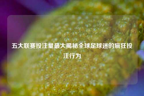 五大联赛投注量最大揭秘全球足球迷的疯狂投注行为