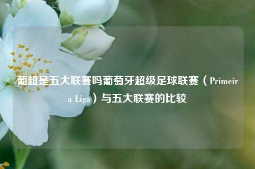 葡超是五大联赛吗葡萄牙超级足球联赛（Primeira Liga）与五大联赛的比较