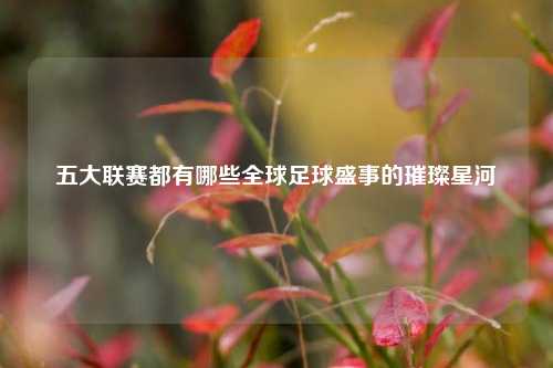 五大联赛都有哪些全球足球盛事的璀璨星河