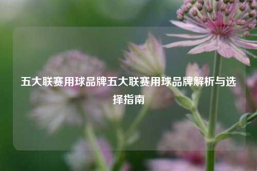 五大联赛用球品牌五大联赛用球品牌解析与选择指南