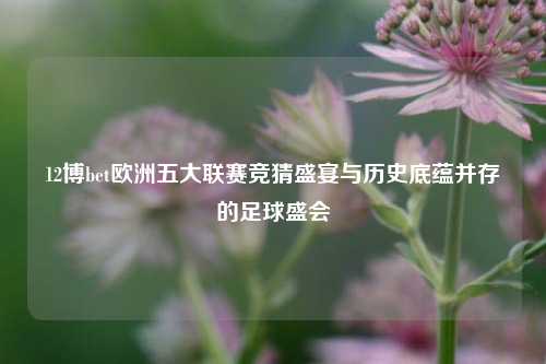 12博bet欧洲五大联赛竞猜盛宴与历史底蕴并存的足球盛会