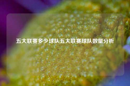 五大联赛多少球队五大联赛球队数量分析