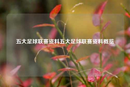 五大足球联赛资料五大足球联赛资料概览