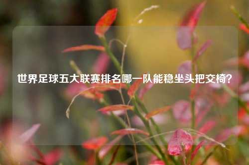 世界足球五大联赛排名哪一队能稳坐头把交椅？