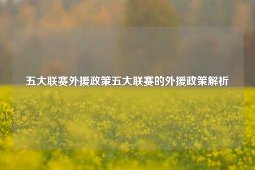 五大联赛外援政策五大联赛的外援政策解析