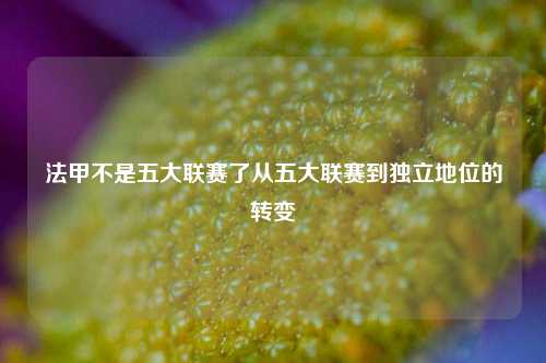 法甲不是五大联赛了从五大联赛到独立地位的转变