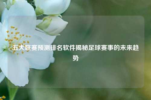 五大联赛预测排名软件揭秘足球赛事的未来趋势