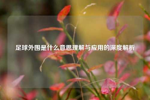 足球外围是什么意思理解与应用的深度解析