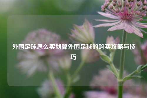 外围足球怎么买划算外围足球的购买攻略与技巧
