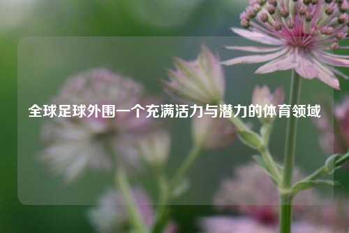 全球足球外围一个充满活力与潜力的体育领域
