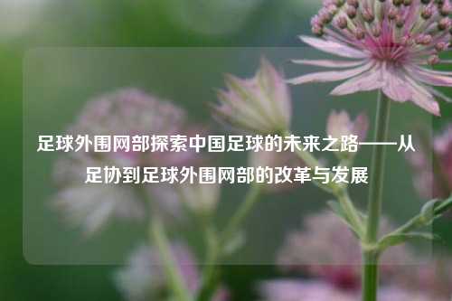 足球外围网部探索中国足球的未来之路——从足协到足球外围网部的改革与发展