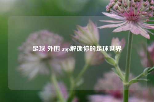 足球 外围 app解锁你的足球世界