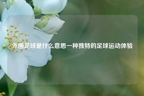 外围足球是什么意思一种独特的足球运动体验