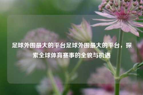 足球外围最大的平台足球外围最大的平台，探索全球体育赛事的全貌与机遇