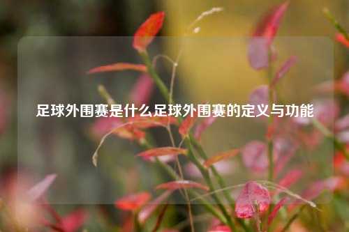 足球外围赛是什么足球外围赛的定义与功能