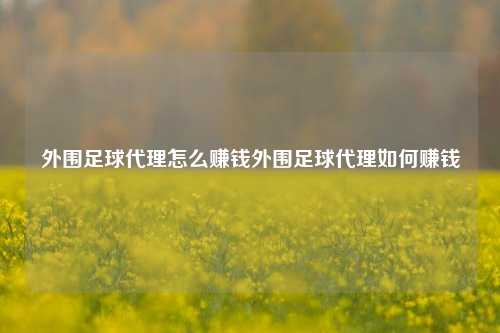 外围足球代理怎么赚钱外围足球代理如何赚钱