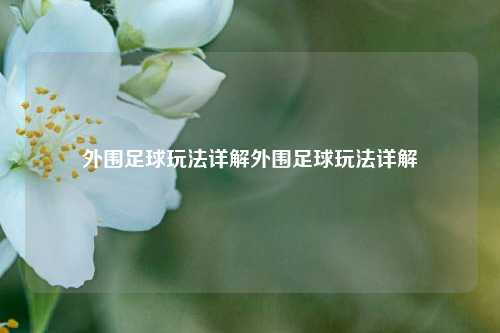 外围足球玩法详解外围足球玩法详解