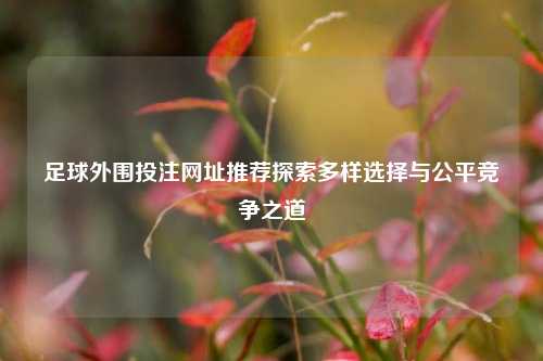 足球外围投注网址推荐探索多样选择与公平竞争之道