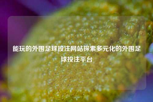 能玩的外围足球投注网站探索多元化的外围足球投注平台
