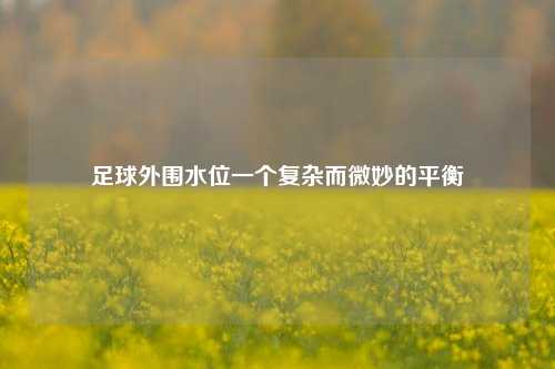 足球外围水位一个复杂而微妙的平衡