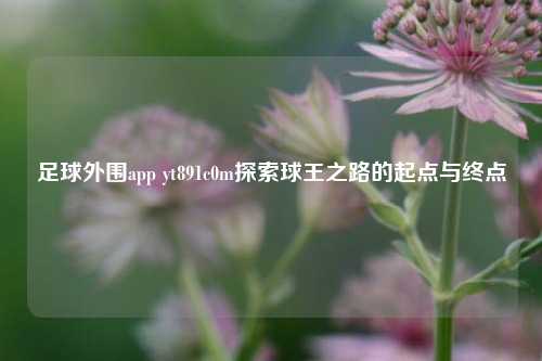 足球外围app yt891c0m探索球王之路的起点与终点